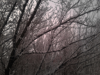 In Winter Park / ***
