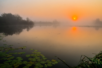 Sunrise. / ***