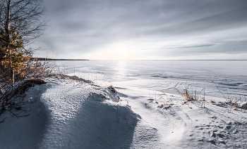 winter / ***