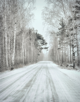 Winter Roads / ***