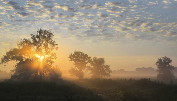 Sunrise / ***