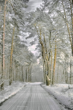 Winter Roads / ***