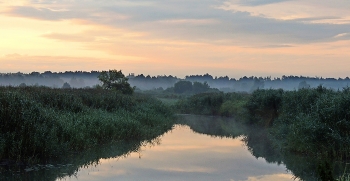 Morning on the river / ***