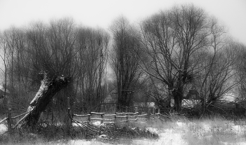 Winter / ***