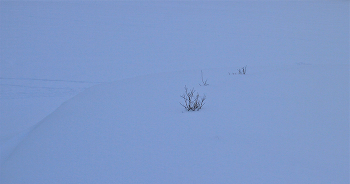 Minimalism / ***
