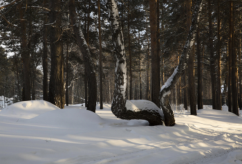 Winterlandschaft / ***