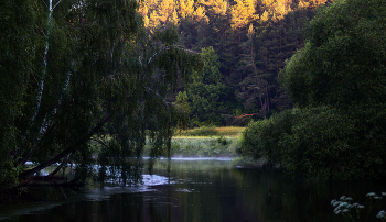 On the river bank / ***