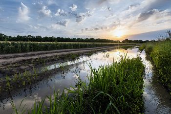 After the rain / ***