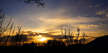 Fabulous morning / ***