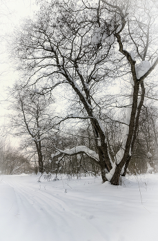 Winter view. / ***