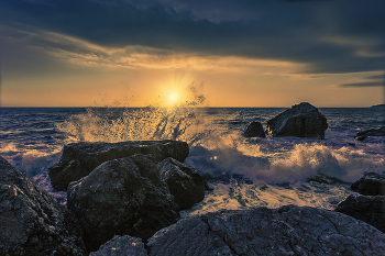 surf / ***