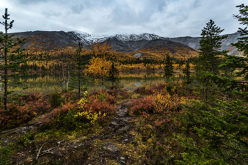 Autumn / ***