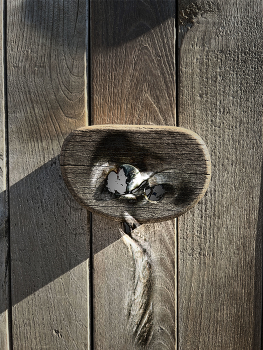 No face but shadow / surreal