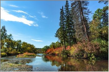 Siberian autumn / ***