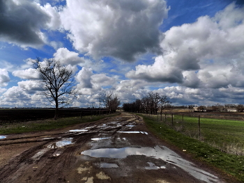 Spring road / ***