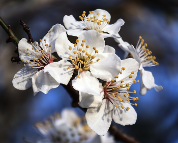 about spring / ***