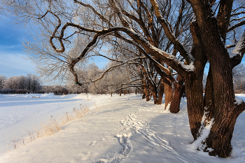 Im Winter Park ... / ***