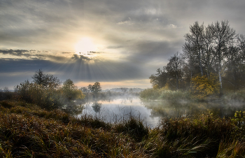Autumn picture / ***