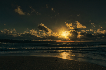 At sunset / ***