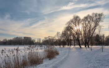 In Winter Park ... / ***