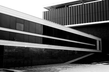 Black and white / ***