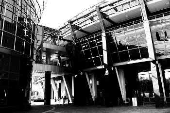 Black and white / ***
