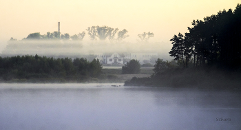 Nebel in der Morgendämmerung. / ***