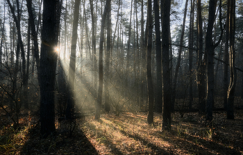 Es werde Licht! / ***