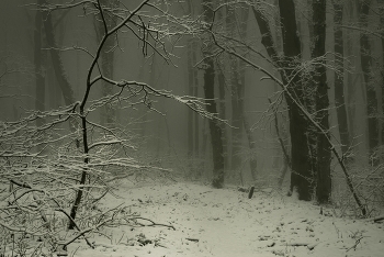 Winter road / ***