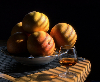 Gestreifte Flug / 2022