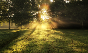 Nebel zerstreut / ***