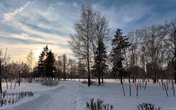 In Winter Park ... / ***