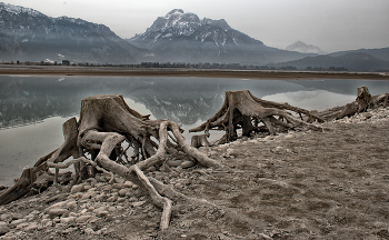 Ein See entsteht – und verschwindet / n den Fünfzigerjahren entstand der Forggensee in erster Linie vor dem Hintergrund der Energiegewinnung durch den Bau von Staumauern und Wasserkraftwerken. Dabei wurden mehrere Dörfer sowie auch Spuren römischer Besiedlung überflutet, letztere werden allerdings einmal im Jahr wieder sichtbar. Denn während der Wintermonate wird zum Hochwasserschutz nahezu alles Wasser aus dem See abgelassen und man kann im See spazieren gehen.