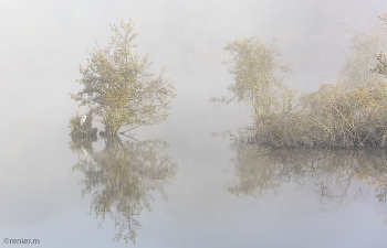 Nebel am Morgen / nebel am wehradelta, suche den Reiher