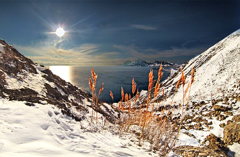 Winter Moments Cimmeria / ***