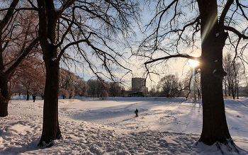 In Winter Park ... / ***
