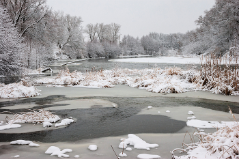 Snow / ***
