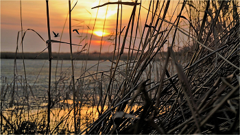 Abend auf dem See / ***