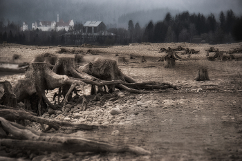 Trockenheit / Forggensee der Der im Winter/Frühling abgelassen wird.
