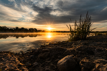 Morgendämmerung / ***