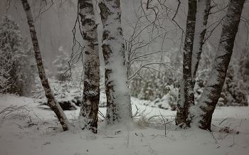 Sonnenaufgang über dem Fluss / ***