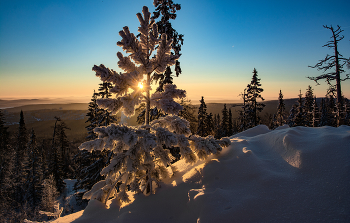 düsterer Morgen / ***