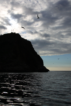 Black Sea / ***