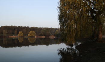 Tranquility / ***
