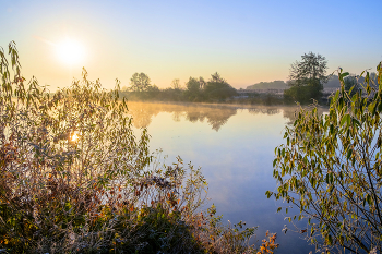 Autumn morning. / ***