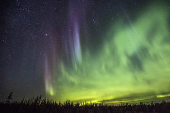Northern lights / ***