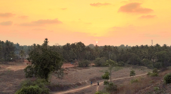 At sunset / ***
