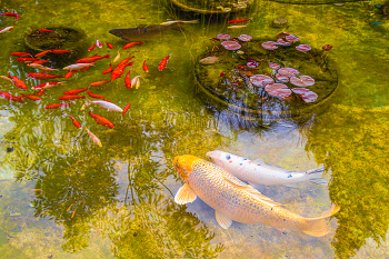 another world / ....