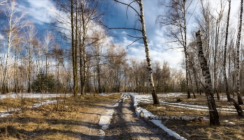 March / ***