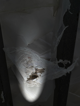 Snowman / Blinded by the light